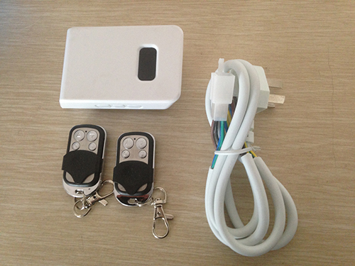 YY03(图1)